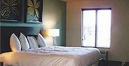 Unique 2* Charleston