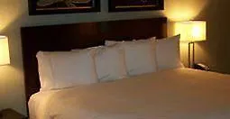 Hotel Unique
